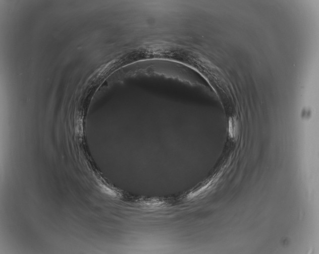 X0000097621155200802291319