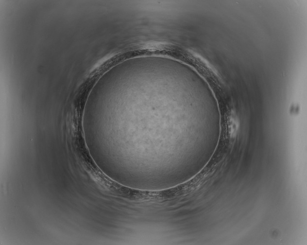 X0000097621158200802291319