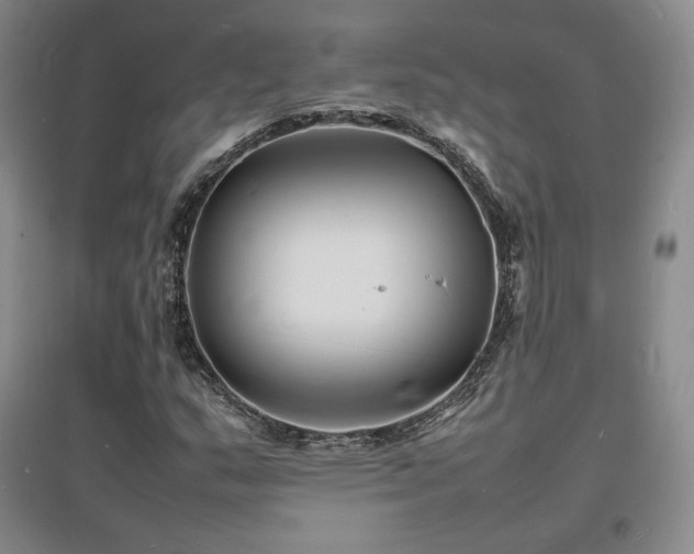 X0000097621159200802291319