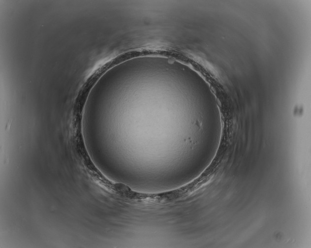 X0000097621160200802291319