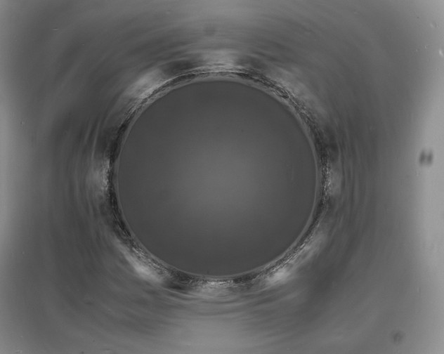 X0000097621161200802291319
