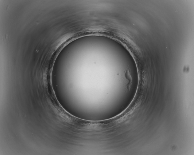 X0000097621162200802291319