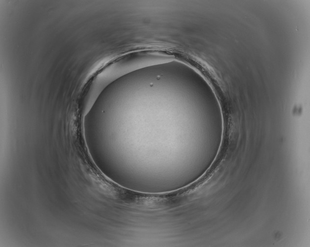 X0000097621163200802291319