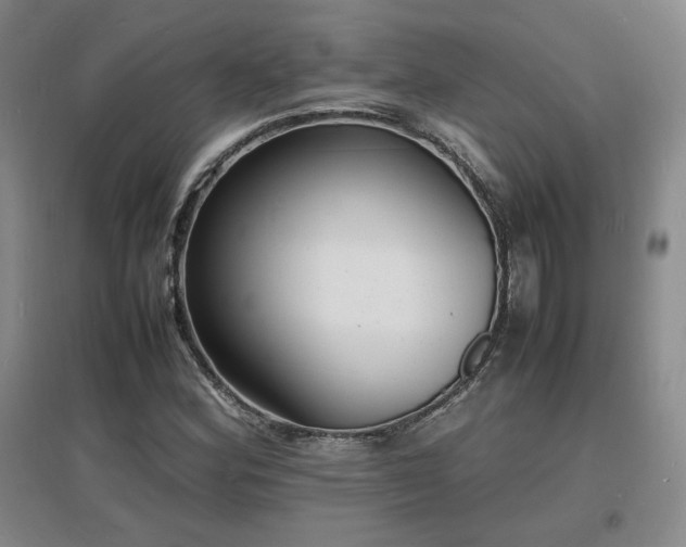 X0000097621164200802291319
