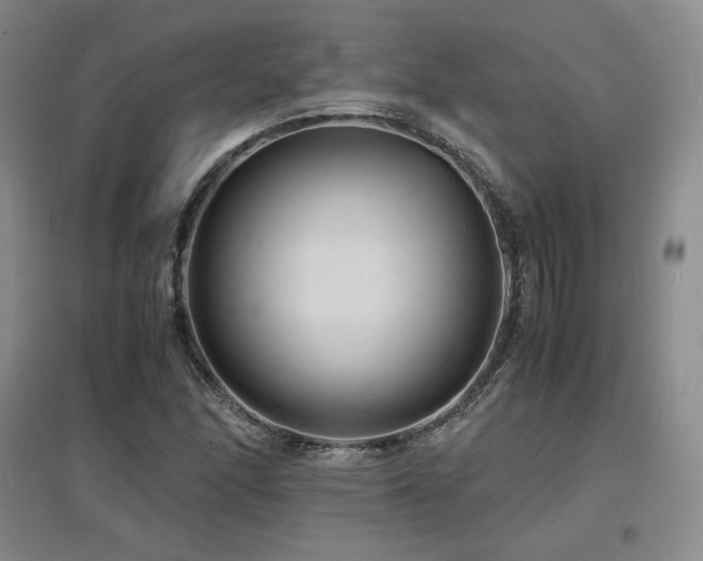X0000097621166200802291319