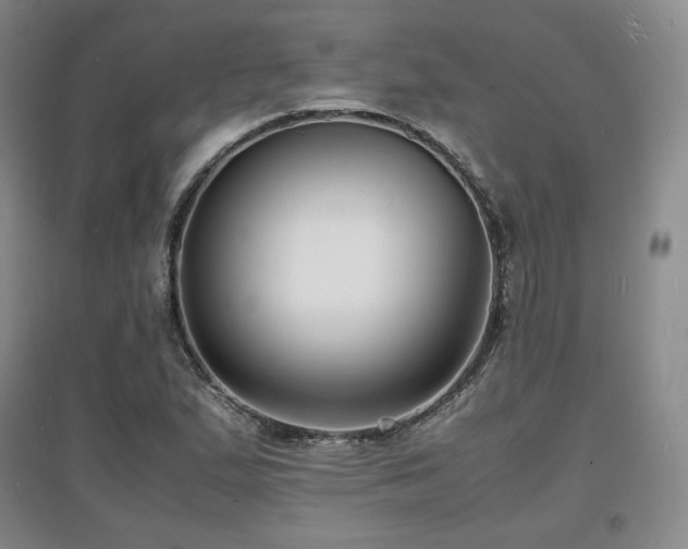 X0000097621167200802291318