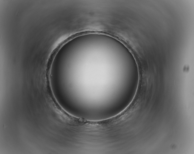X0000097621168200802291318