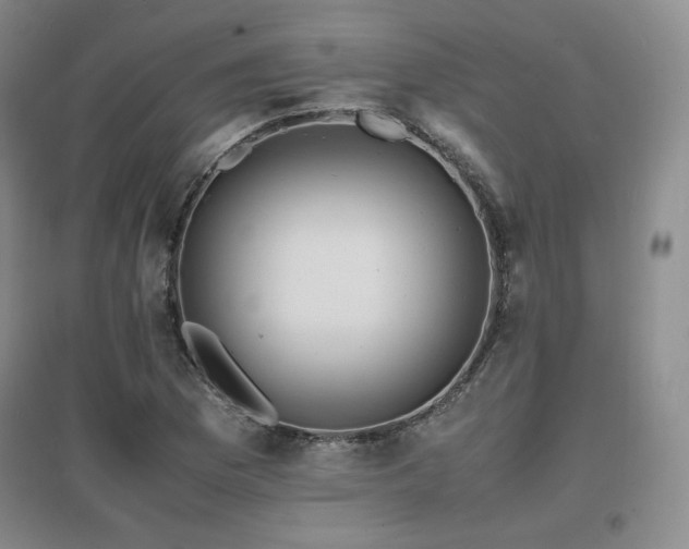 X0000097621169200802291318