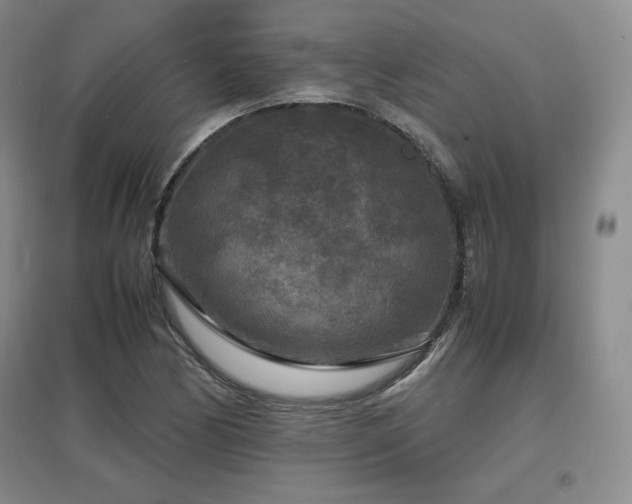 X0000097621170200802291318