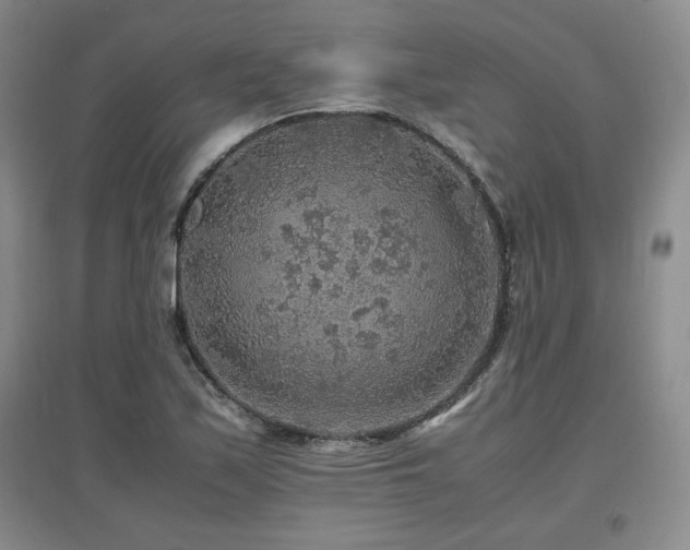X0000097621171200802291318