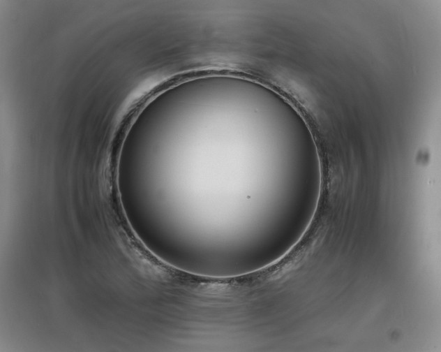 X0000097621172200802291318