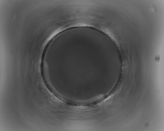 X0000097621173200802291318
