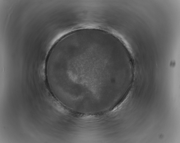 X0000097621174200802291318