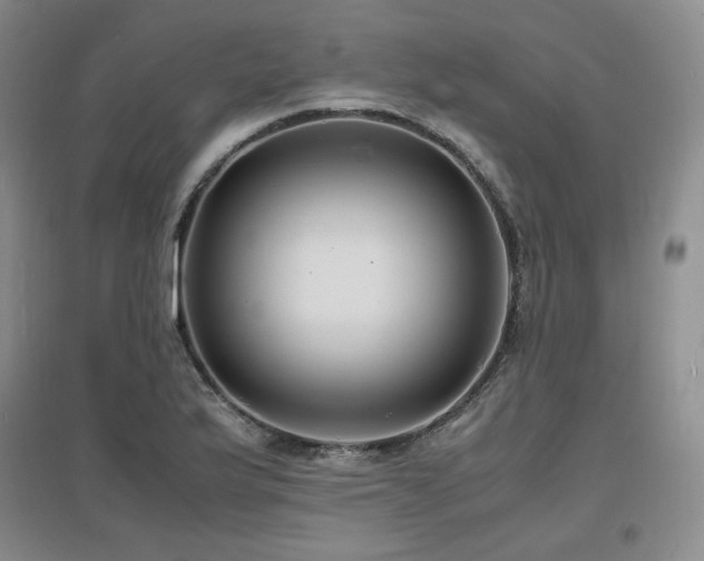 X0000097621175200802291318