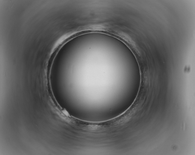 X0000097621176200802291318