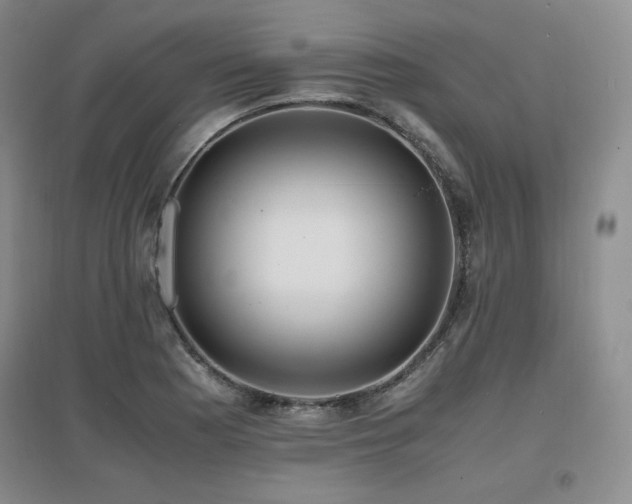 X0000097621177200802291318