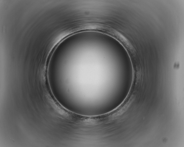 X0000097621178200802291318