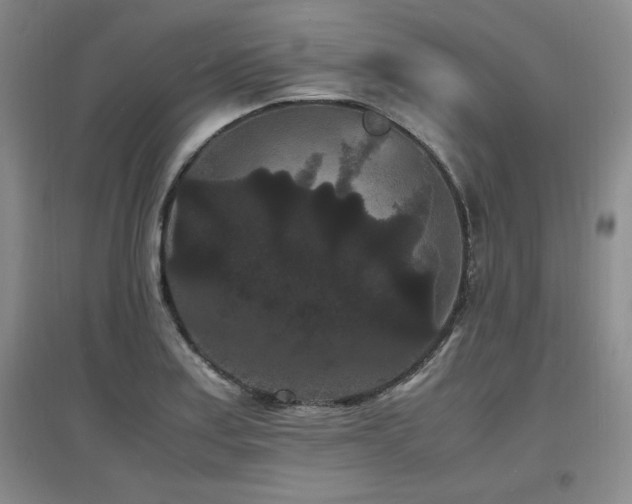 X0000097621179200802291318