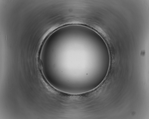 X0000097621181200802291318