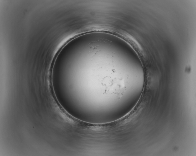 X0000097621182200802291318