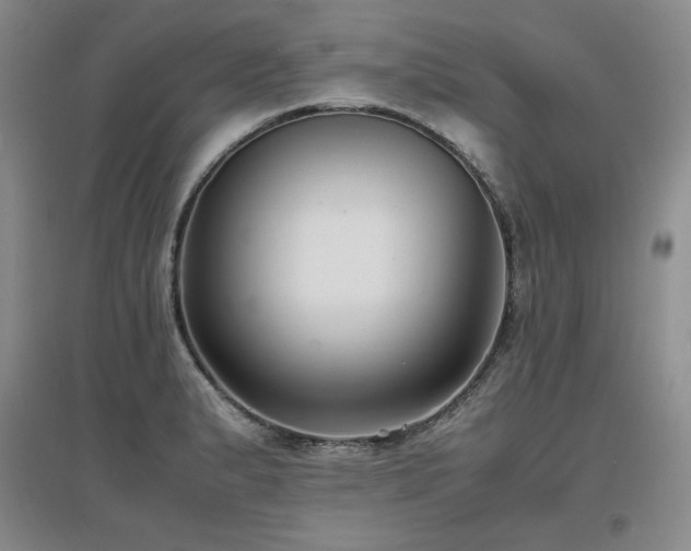 X0000097621183200802291318