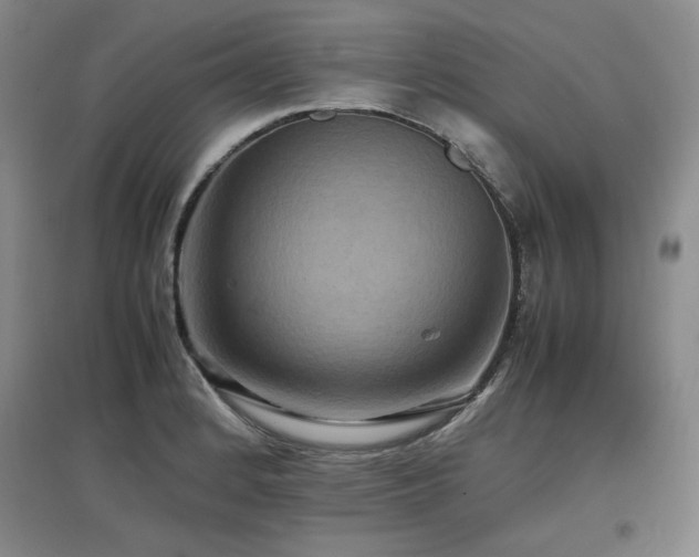 X0000097621184200802291318