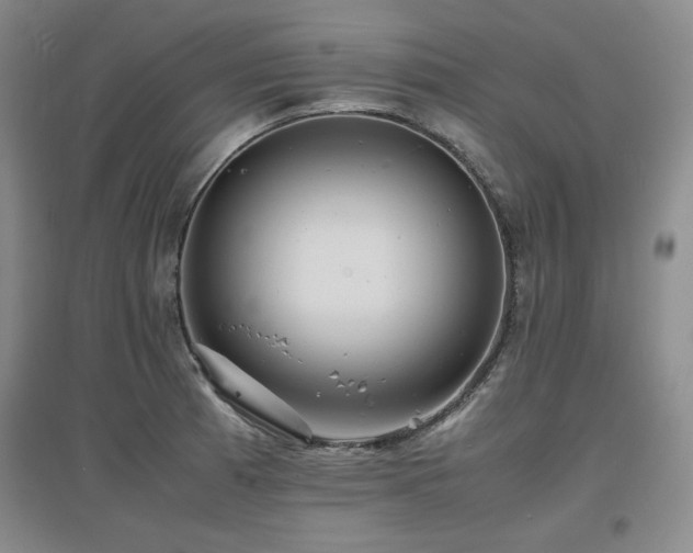 X0000097621185200802291318