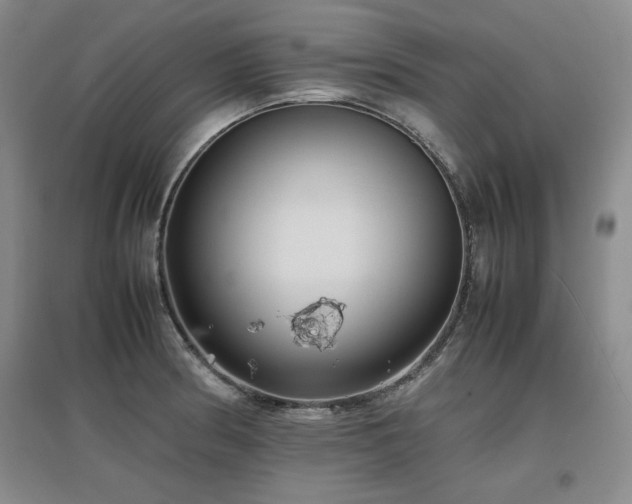 X0000097621186200802291318