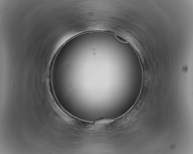 X0000097621187200802291318