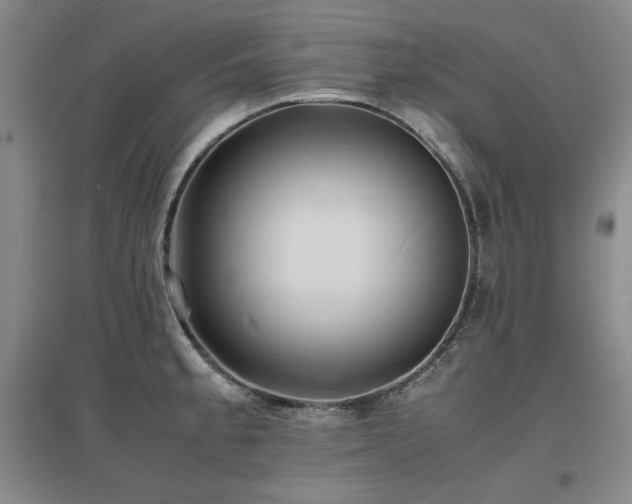 X0000097621189200802291318