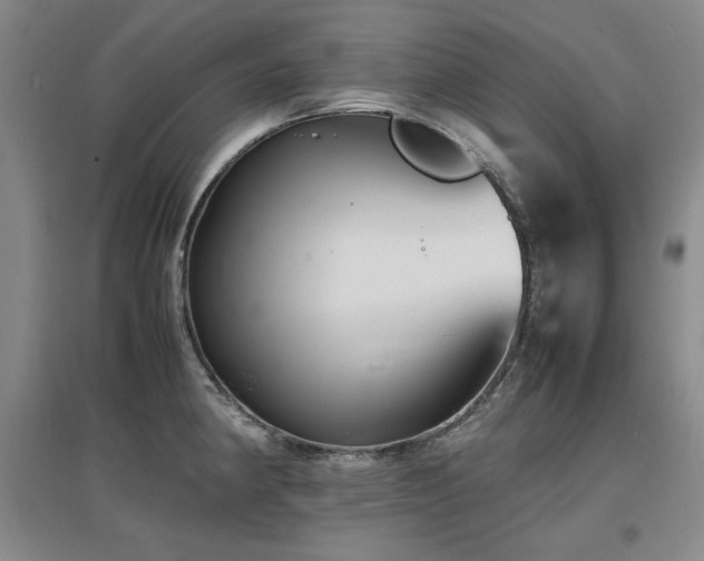X0000097621190200802291318