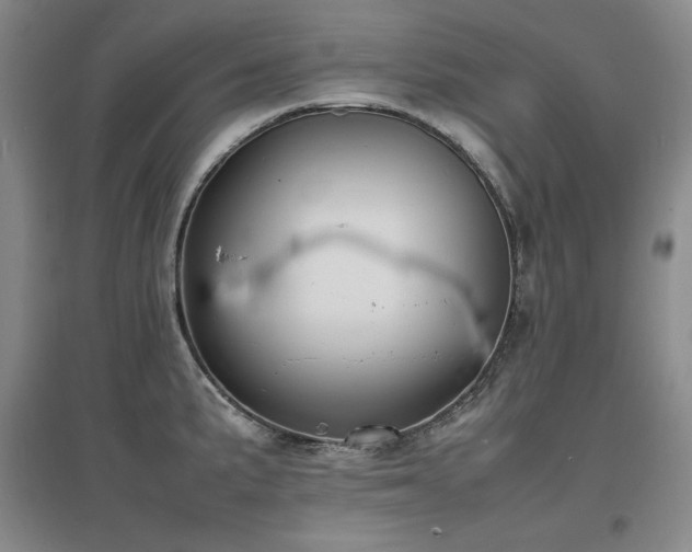X0000097621191200802291318