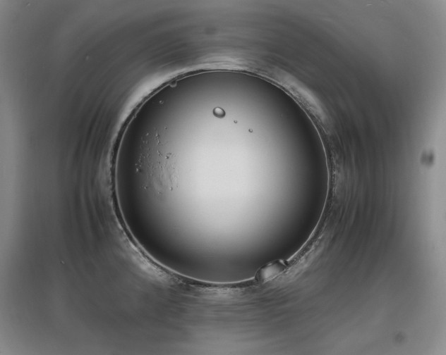 X0000097621192200802291318