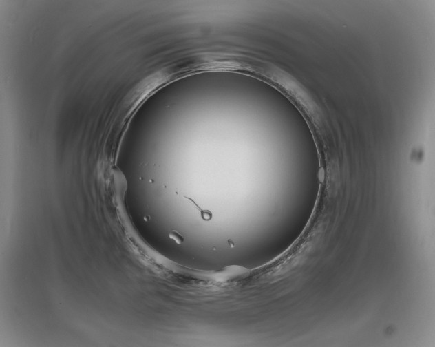 X0000097621193200802291318
