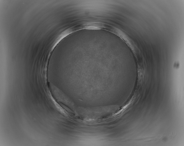 X0000097621194200802291318