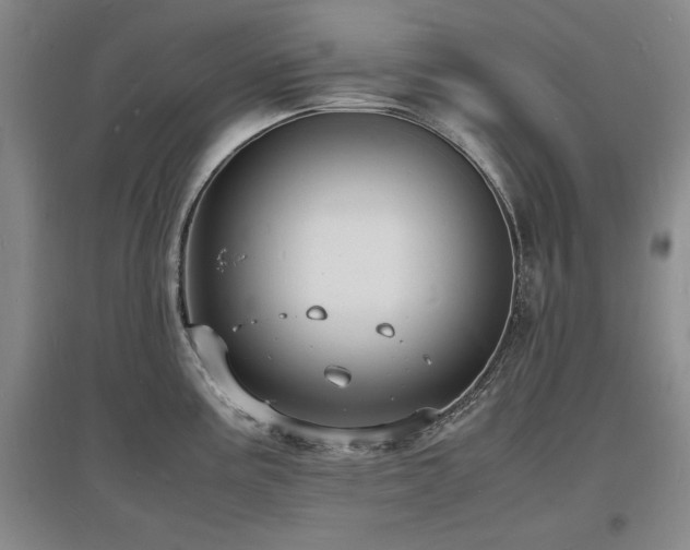 X0000097621195200802291318