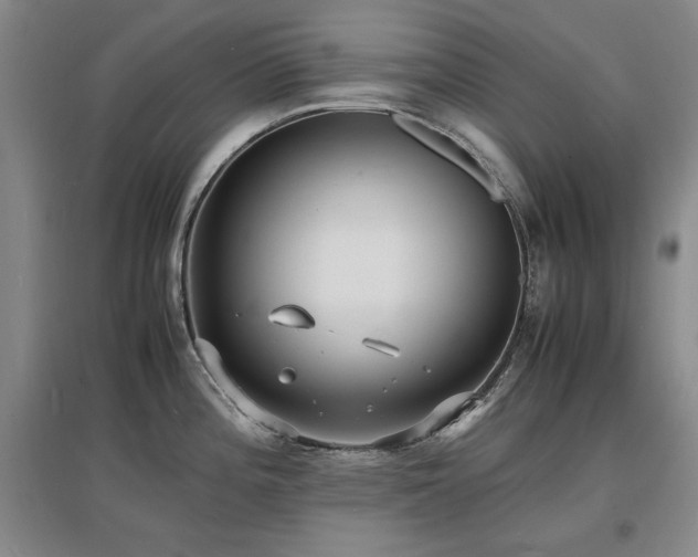 X0000097621196200802291318