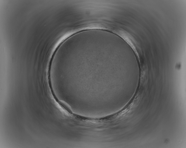 X0000097621197200802291318