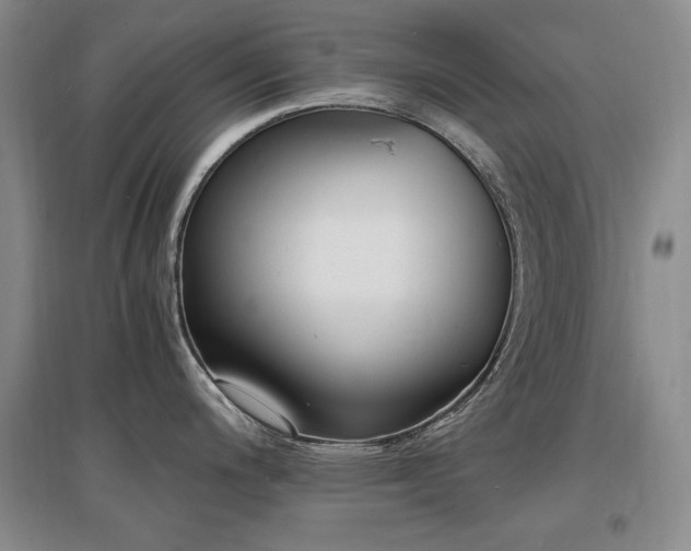 X0000097621200200802291318