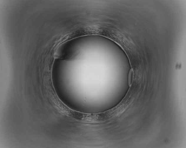 X0000097621201200802291317