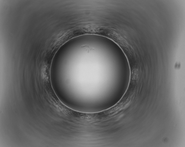 X0000097621202200802291317