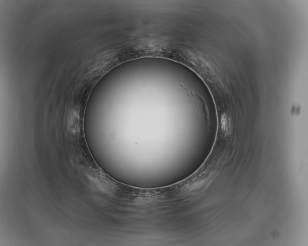 X0000097621203200802291317