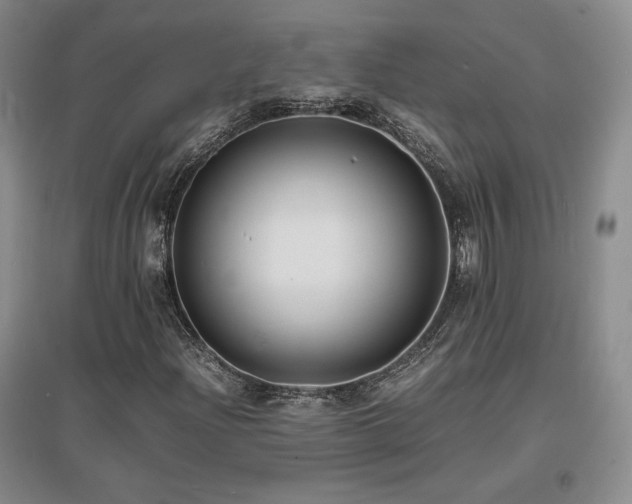 X0000097621204200802291317