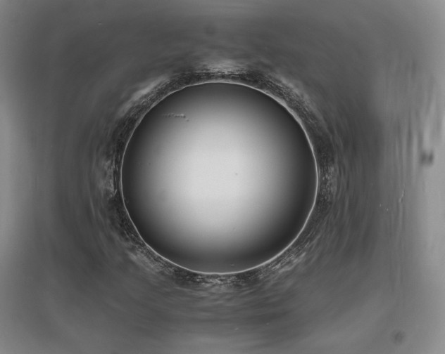 X0000097621205200802291317