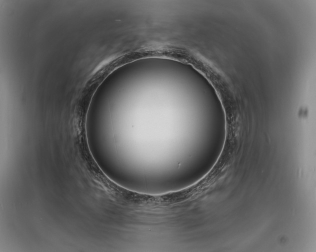 X0000097621206200802291317