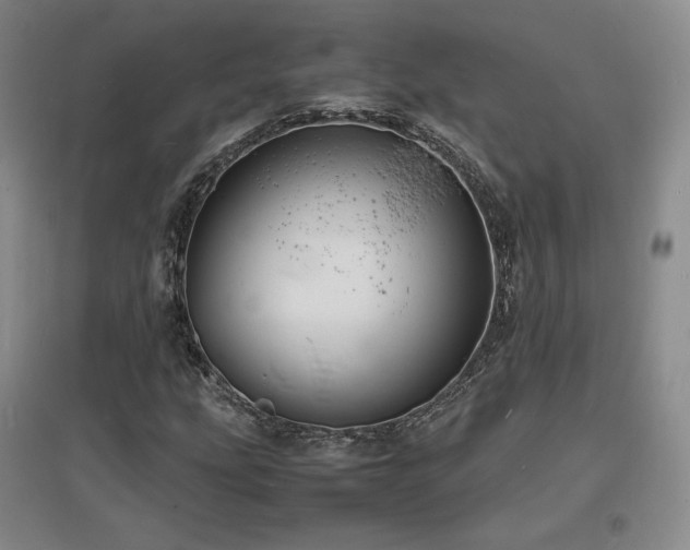 X0000097621207200802291317
