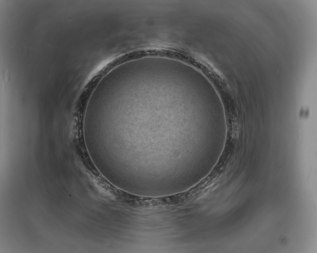 X0000097621208200802291317