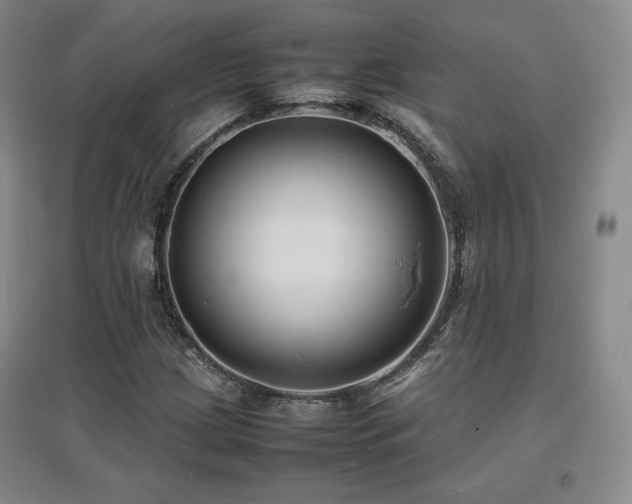 X0000097621209200802291317
