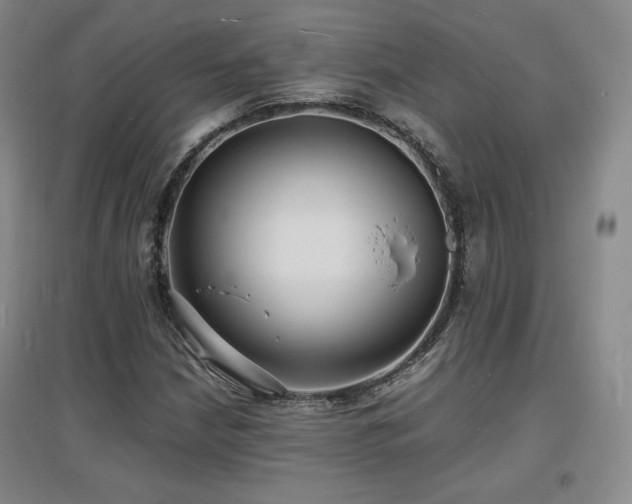 X0000097621210200802291317