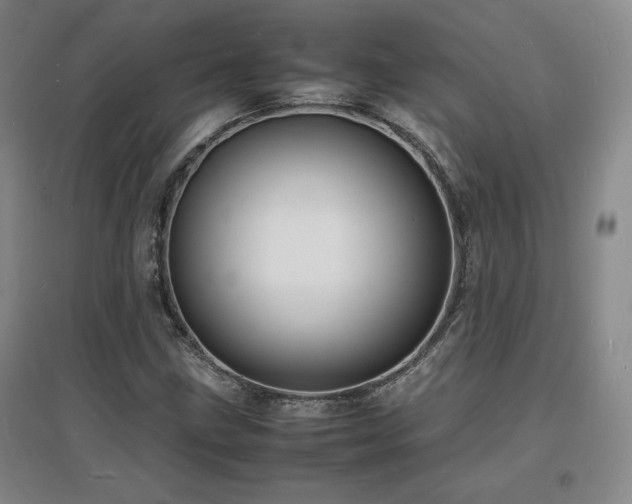 X0000097621211200802291317